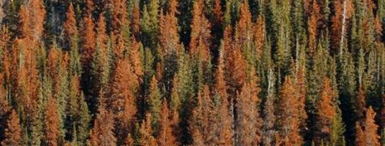 Climate Change up Close & Personal