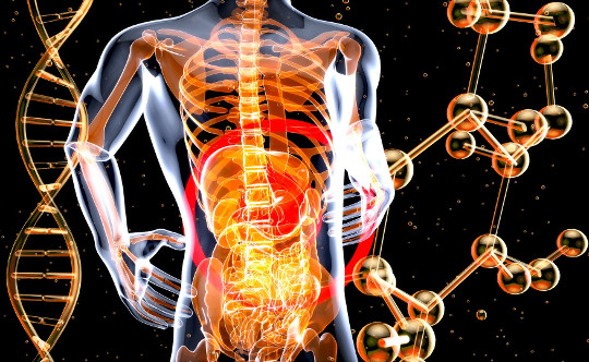 What's the Problem with Pain and Pain Medications? a transparent image of the body with organs and DNA