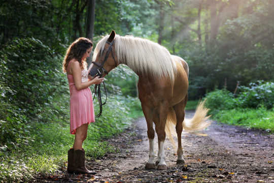 horses can tell your attitude 4 27