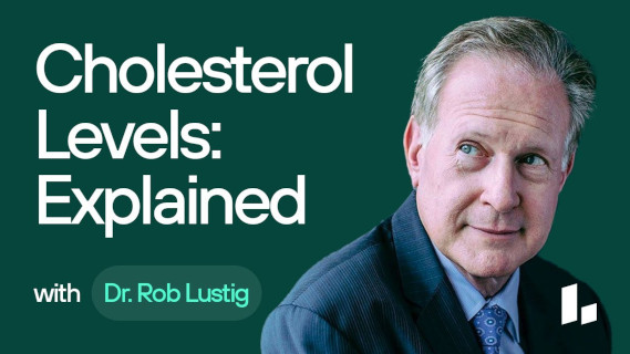Understand Your Cholesterol panel & Metabolic Health Tests - The Ultimate Guide," lustig 5 13