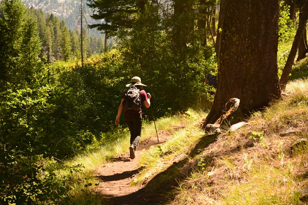 Take a Hike and Experience the Trail of Your Life woman hiking on a forest trail