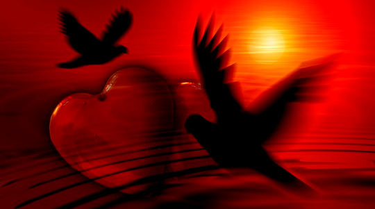 love vibration 12 13