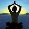 Article: Gratitude for the Day by Donald Altman.