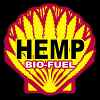 About Cannabis: Its Role in Herbal Medicine, Politics, Science, and Culture