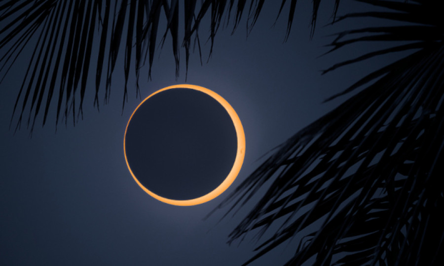 Astrological Overview and Horoscope Video: February 16 - 22, 2026