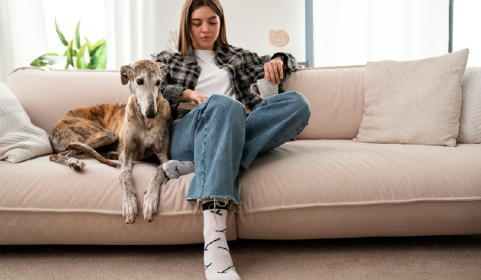 The Healing Power of a Wagging Tail