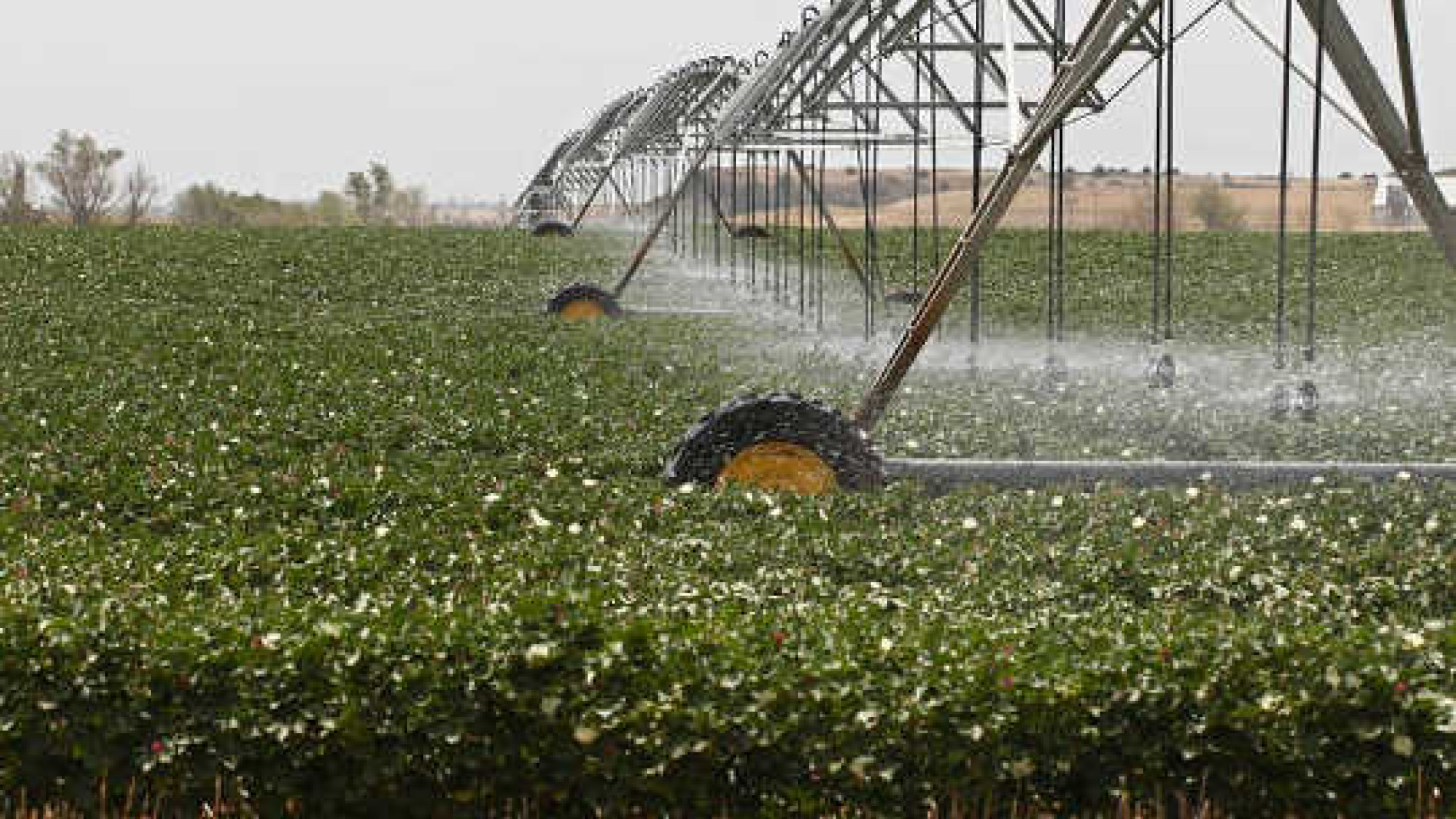 Challenges Facing the Ogallala Aquifer and Farmers